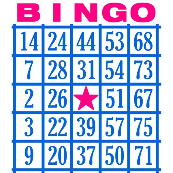 2025 Bingo Cards - Unavailable Online